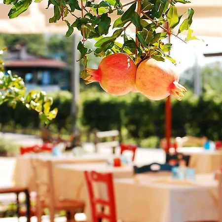 Agriturismo Nonna Maria Montebelluna